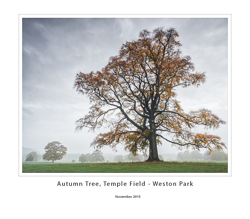  - Weston Park