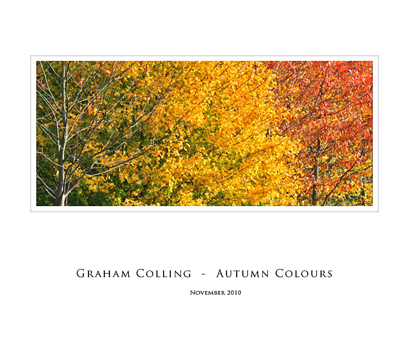 Autumn Colours - Nearer to Home