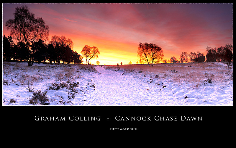 Cannock Chase Dawn - Panoramic