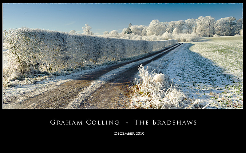 The Bradshaws - Panoramic