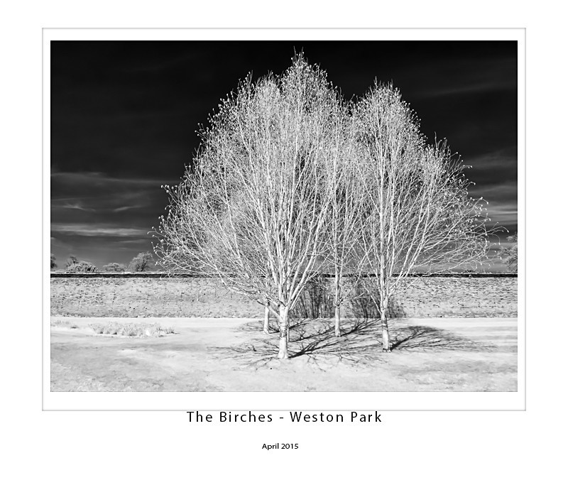  - Weston Park