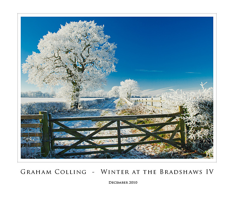 Winter at the Bradshaws  IV - Nearer to Home