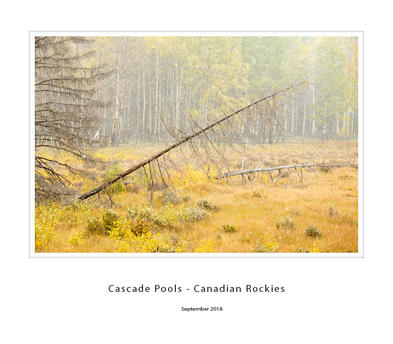  - Canadian Rockies