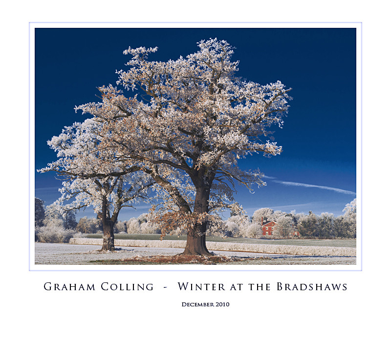 Winter at the Bradshaws - Nearer to Home