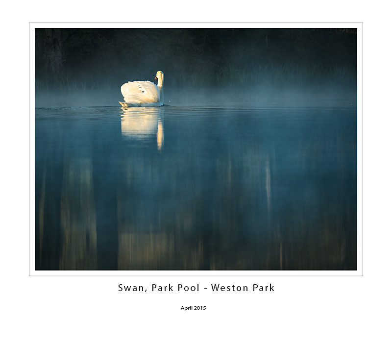  - Weston Park