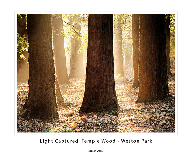  - Weston Park