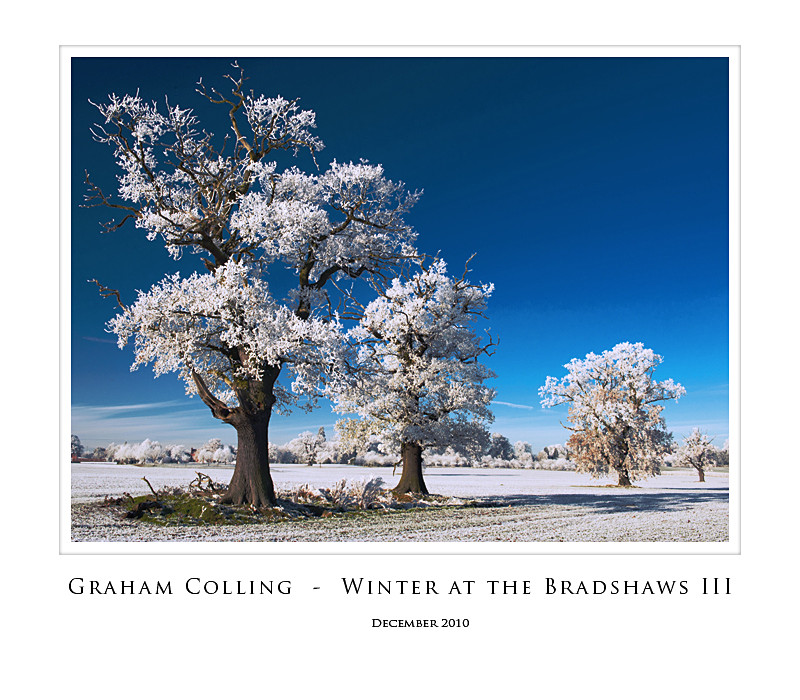 Winter at the Bradshaws  III - Nearer to Home