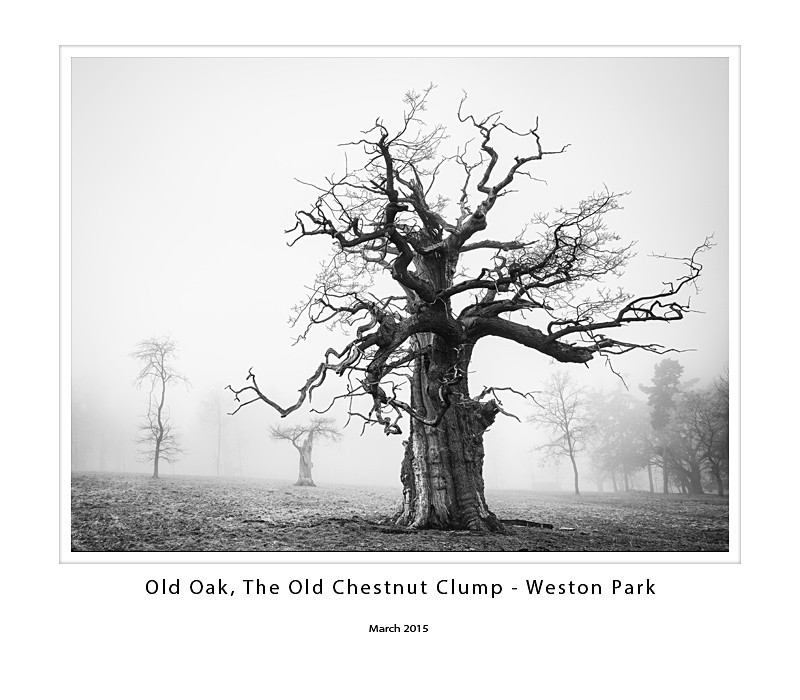  - Weston Park
