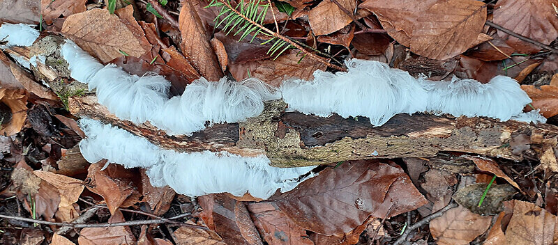 Hair Ice - Hair Ice