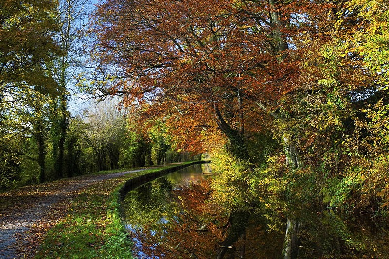 Brecon and Monmouth canal. - Monmouth & Brecon Canal