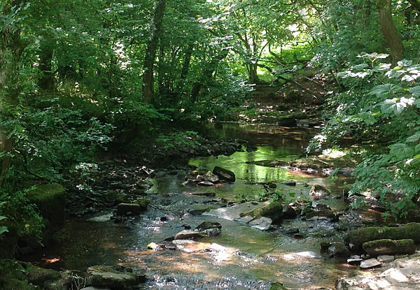 Afon Tarell winding its way to Brecon - Brecon Beacons