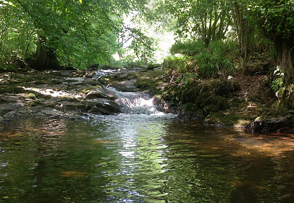 Deep Pool On The Afon Tarell