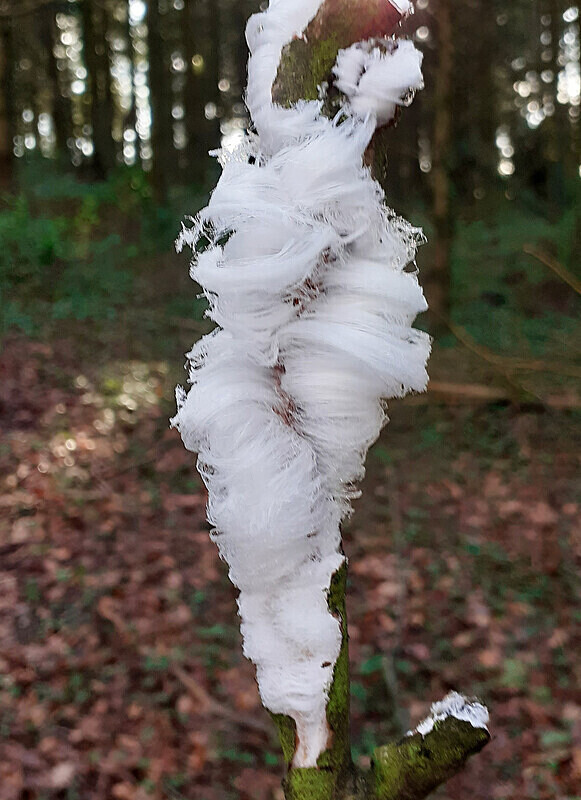 Hair Ice - Hair Ice