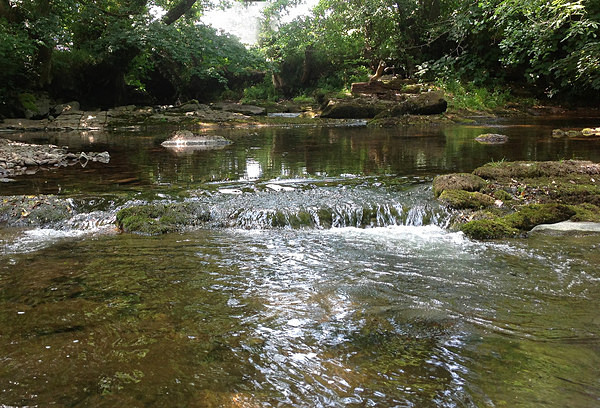 Afon Tarell running over a limestone pavement - Brecon Beacons