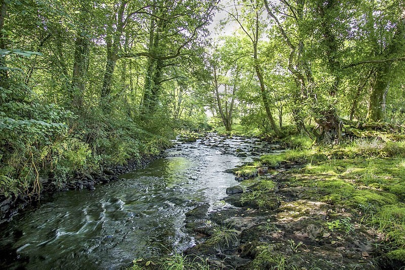 River Caerfanell - Brecon Beacons