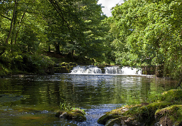 River Usk tumbling its way to Brecon - Brecon Beacons
