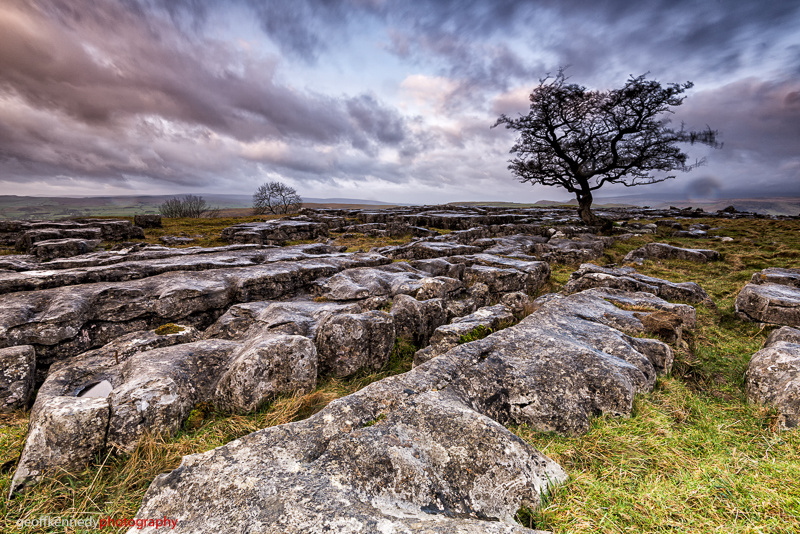 Early Morning at Winskill. - Yorkshire and the North East