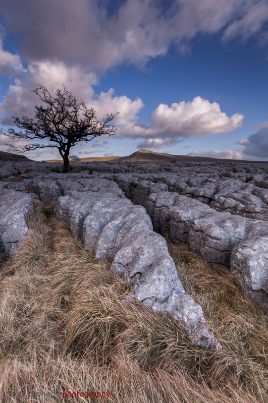 A Tail of Twisleton - Yorkshire and the North East