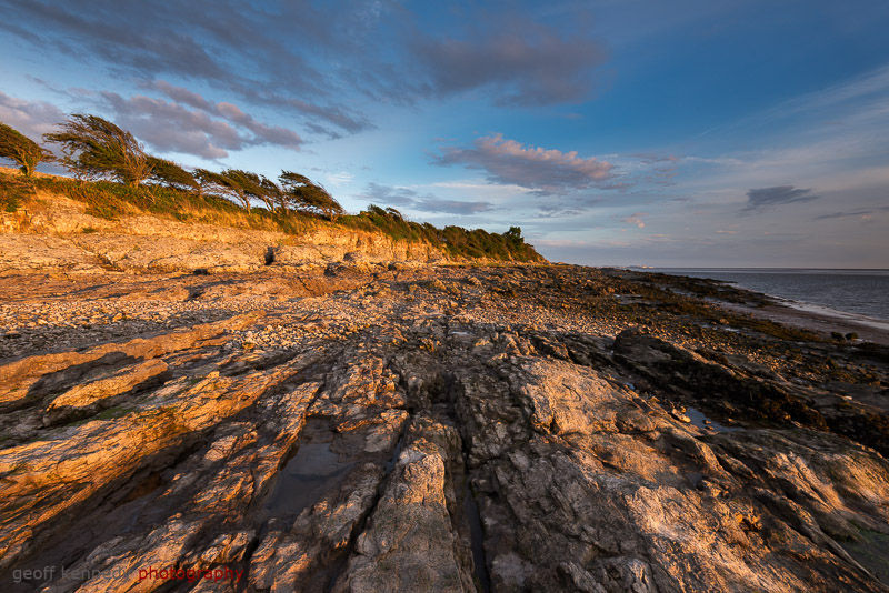 Late Sun at Silverdale - Lancashire and the North West