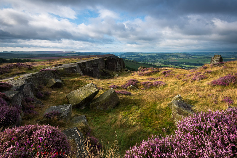 Heather Edge - Peak District