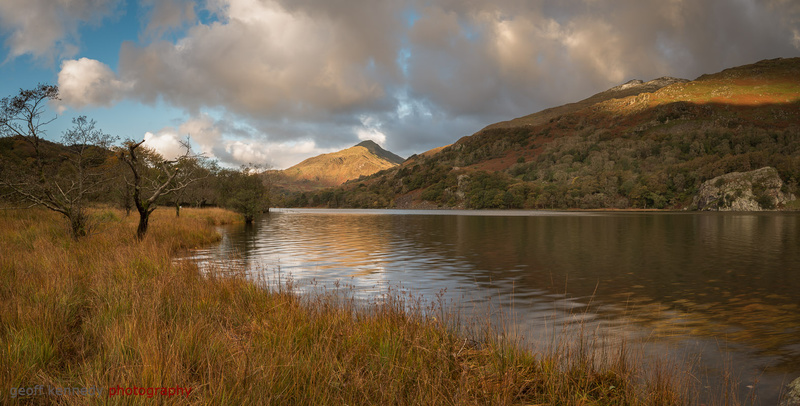 Llyn Gwynant - Panoramas