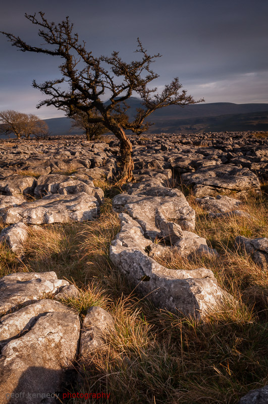 Sunny Twisleton - Yorkshire and the North East