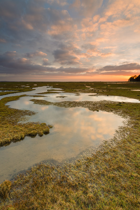 Salt Marsh - Lancashire and the North West