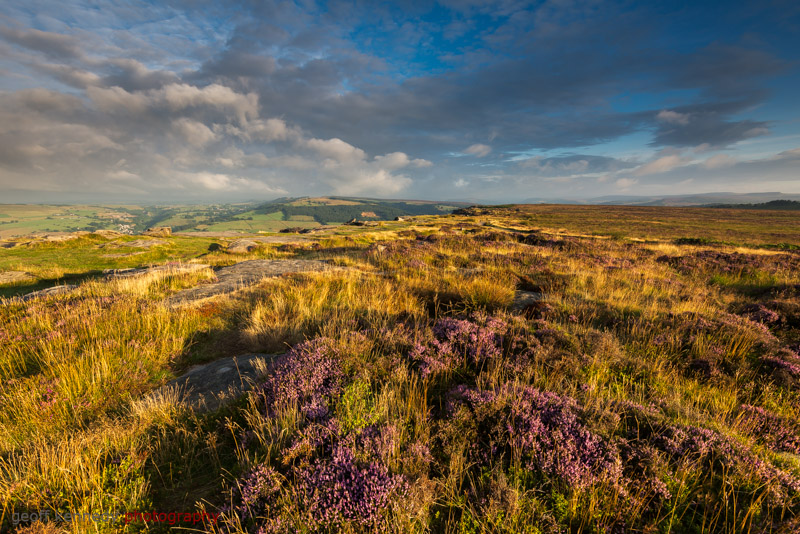 Heather at Curbar - Peak District