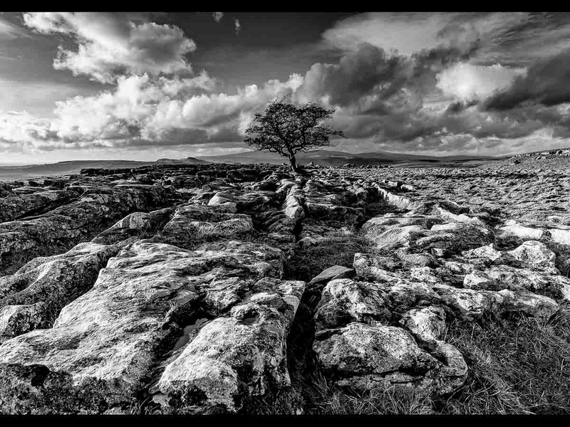  - Portfolio