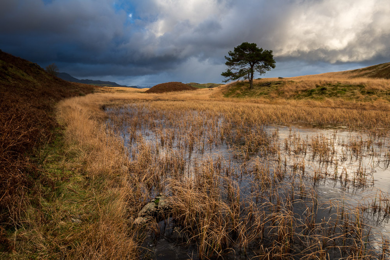Torver Tarn - Lake District
