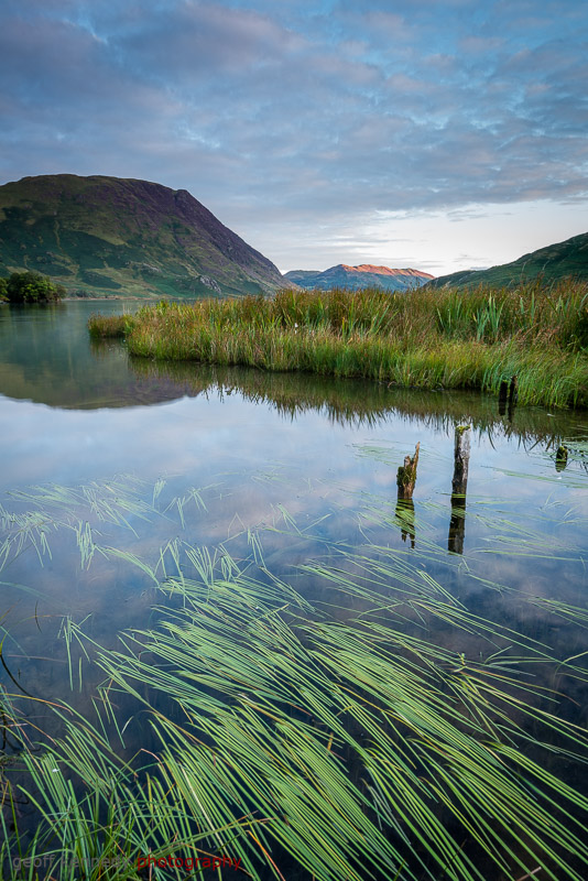 Watery Weeds - Lake District
