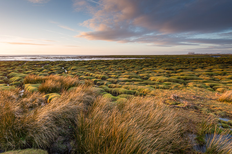 Green Bumps - Lancashire and the North West