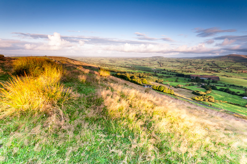 Grassy Gold - Lancashire and the North West
