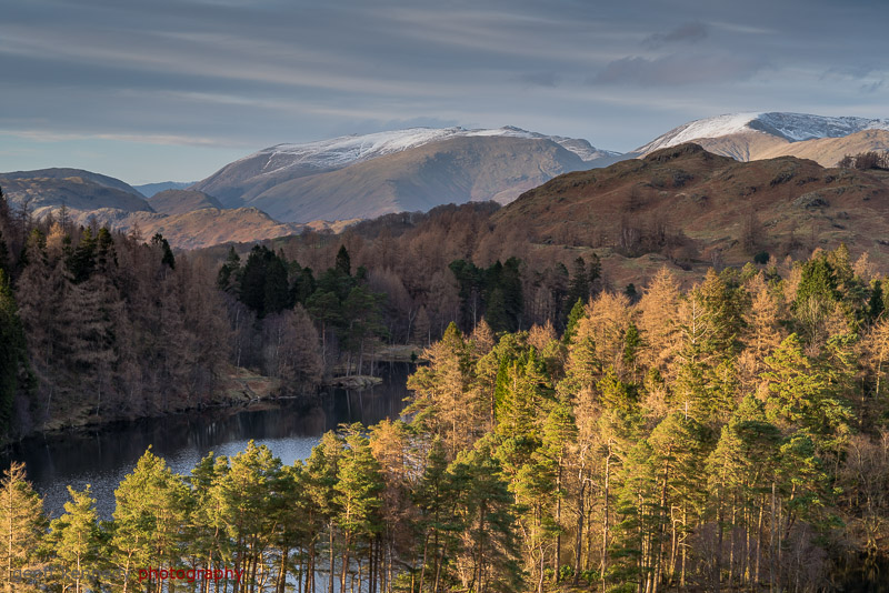 Tarn Hows Long - Lake District