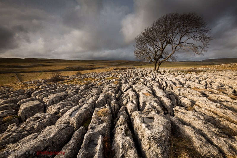 Sunny Day at Malham - Yorkshire and the North East