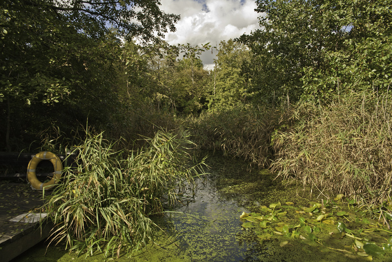 Camley Street Natural Park. - Unsustainable Cities? the on-line 2014 RGS Exhibition