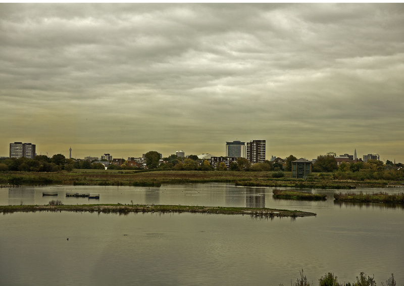 WWT Barnes - Unsustainable Cities? the on-line 2014 RGS Exhibition