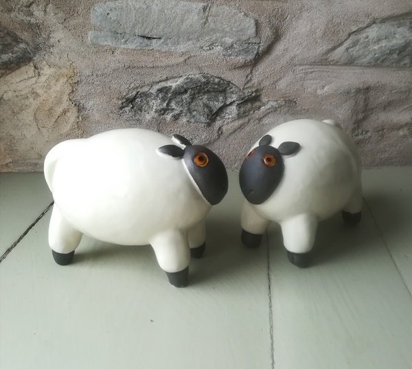 Little sheep