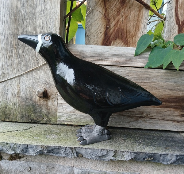 Juvenile Rook - Animal Figures