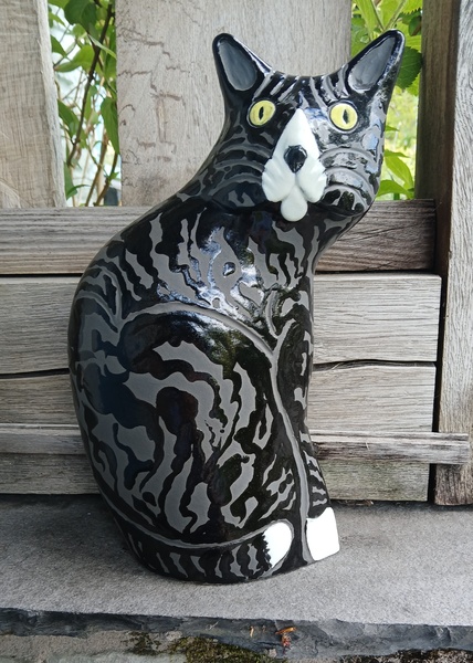 black & white cat