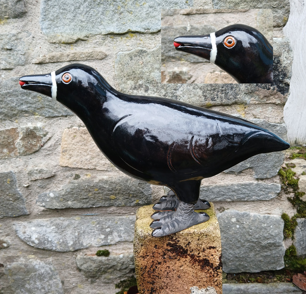 Juvenile Rook - Animal Figures