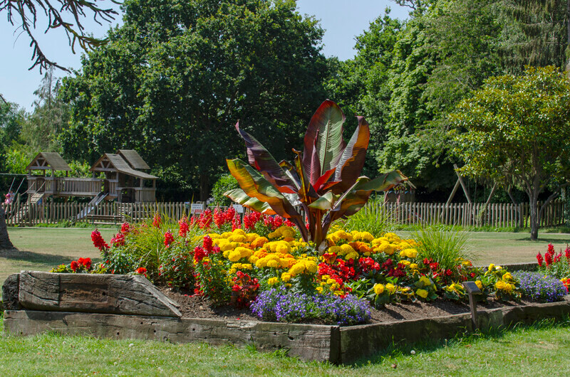 Graham Wiffen - Woodside Park - DSC_0022 - Lymington Flower Festival 2019