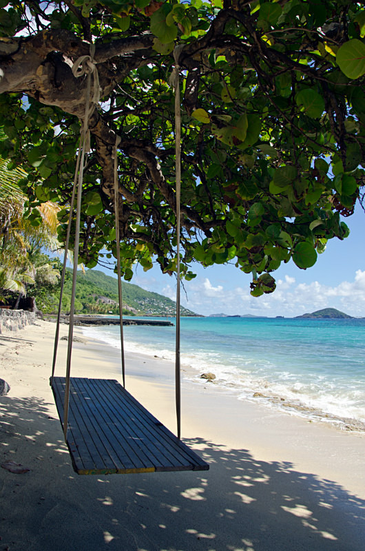 Swinging in the Caribbean