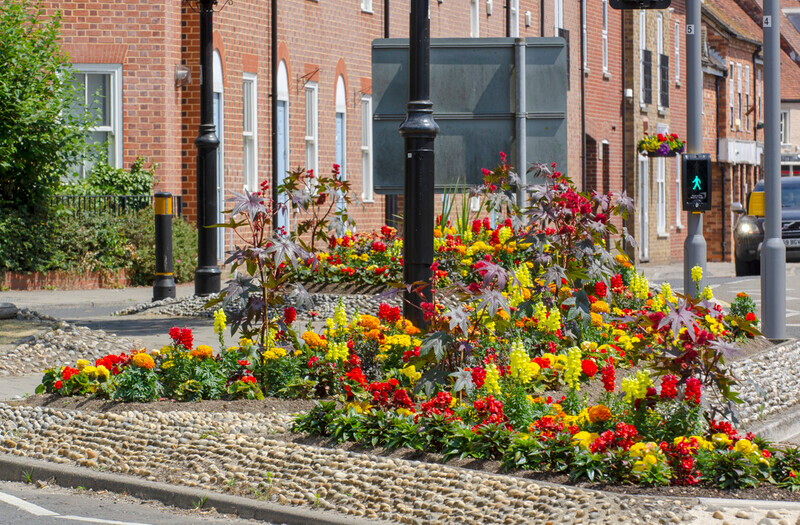 Graham Wiffen - Woodside Park - DSC_0050 - Lymington Flower Festival 2019