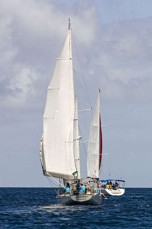 DSC_5293 - Monday racing - Bequia Easter Regatta 2016