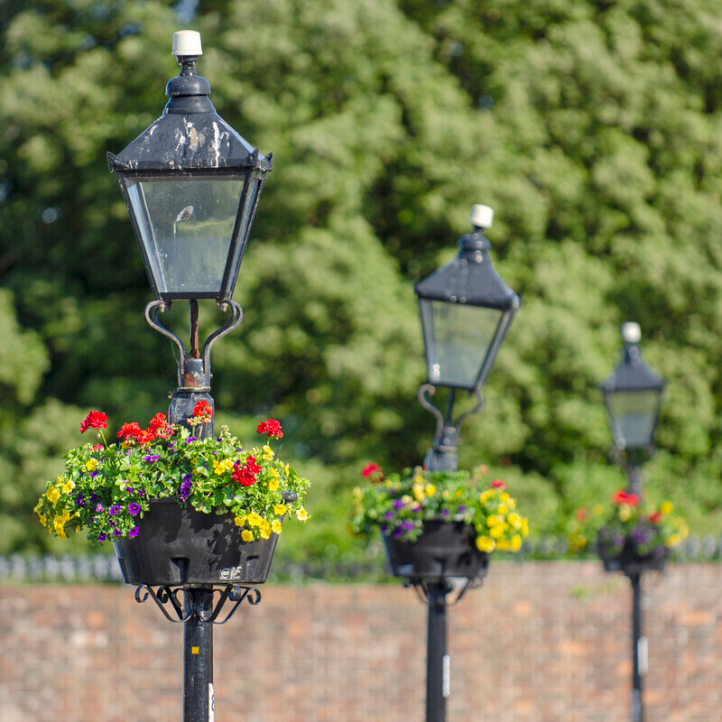 Graham Wiffen - Town Quay - DSC_7155 - Lymington Flower Festival 2019