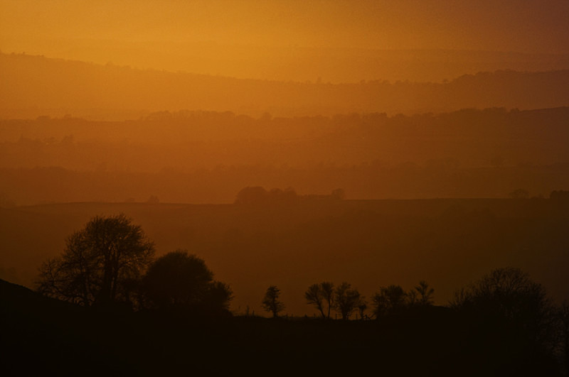 Sunset from Eggardon Hill