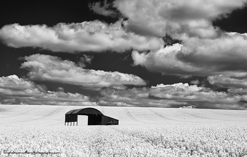 Cranborne Chase Barn B/W - Black and White