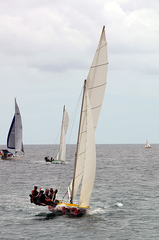DSC_0609 - Saturdays races
