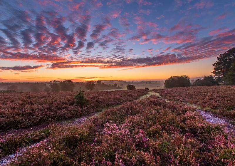 October - Longslade Heath Sunrise - 2022 Calendar